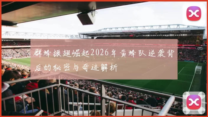 群蜂振翅崛起2026年黄蜂队逆袭背后的秘密与奇迹解析
